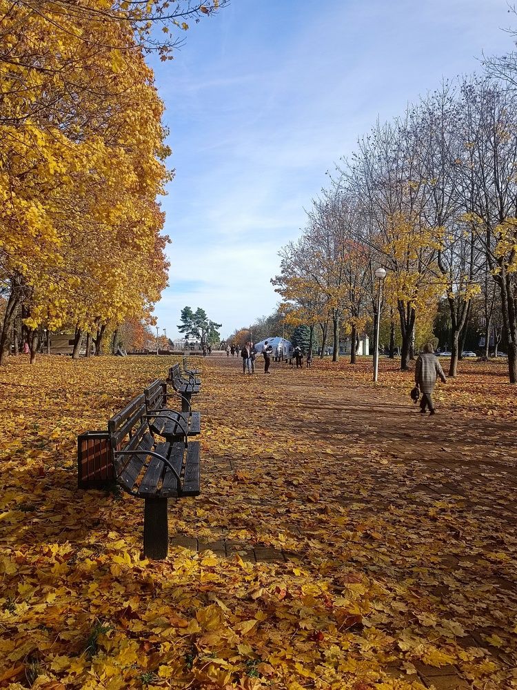 Photograph by Елена Пархоменко