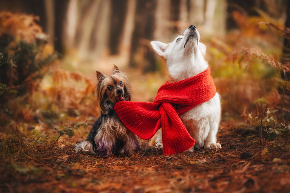 Photograph by Андрианова Ирина