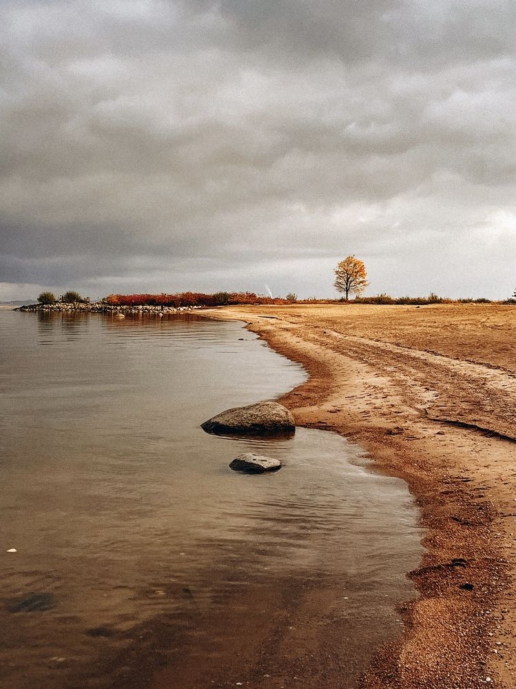 Photograph by Светлана Масютина