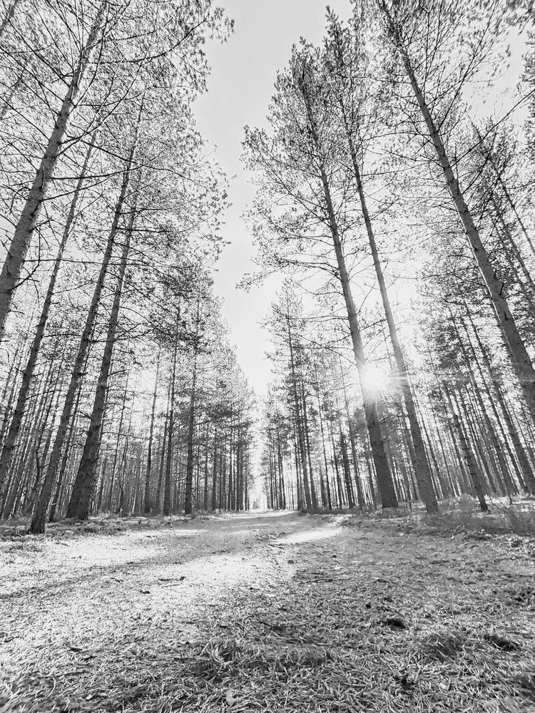 Photograph by Татьяна Рождественская