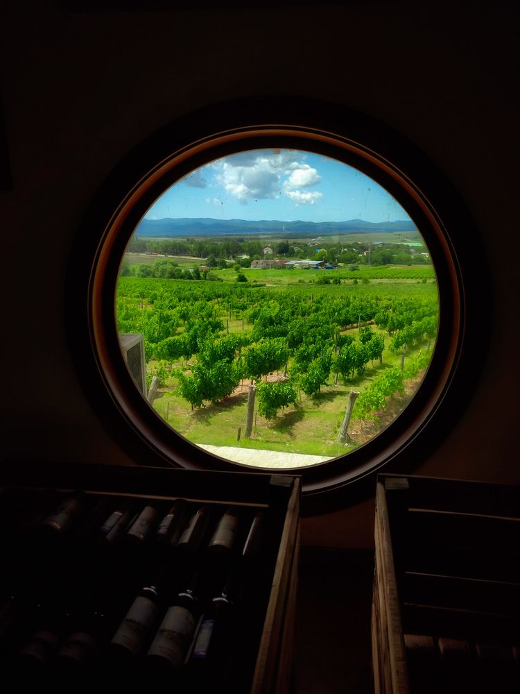 Photograph by Екатерина