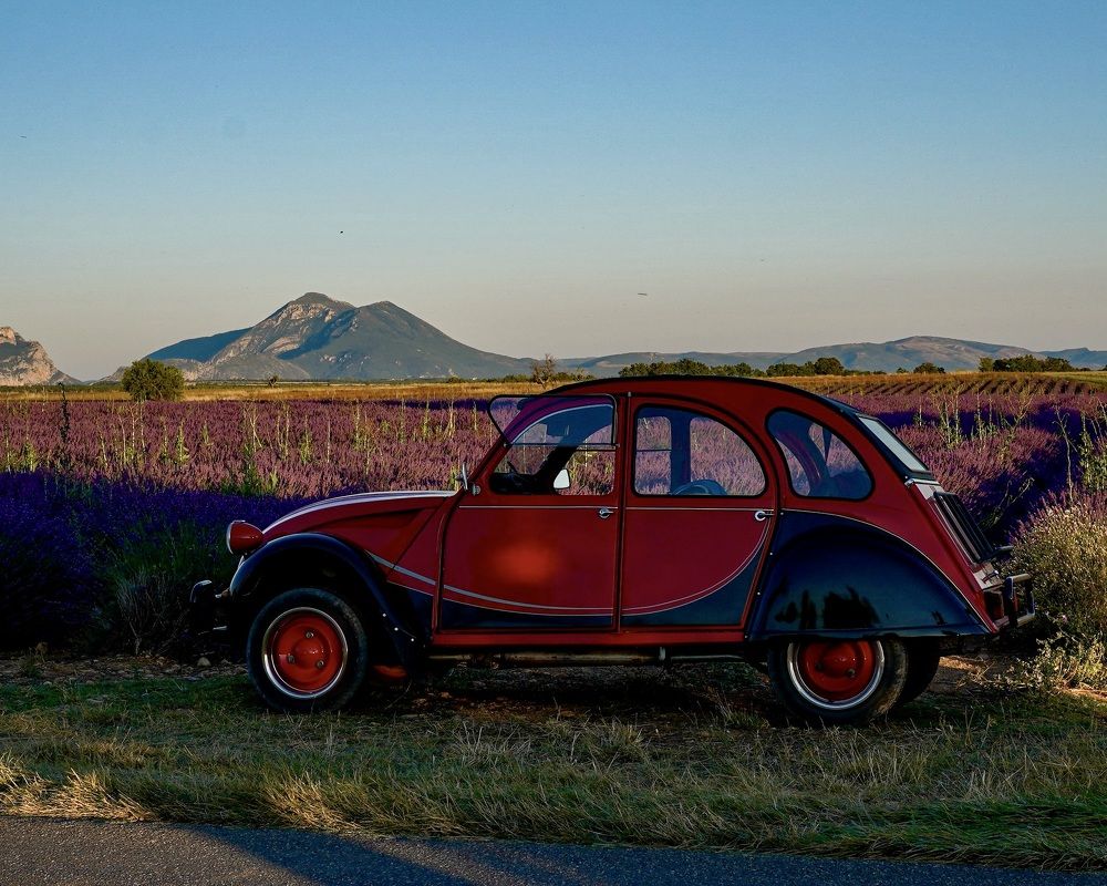 Photograph by Marina Odintsova