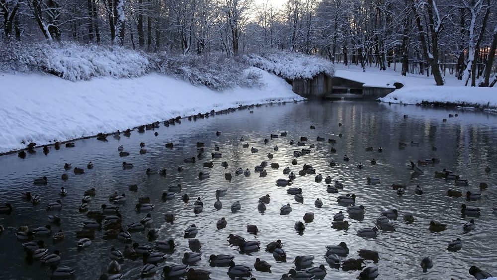 Спасительное тепло