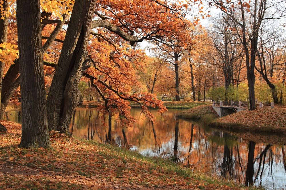 Нескучная осень