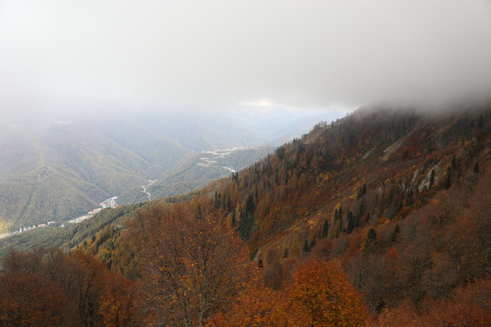 Photograph by Elena Ovsannikova