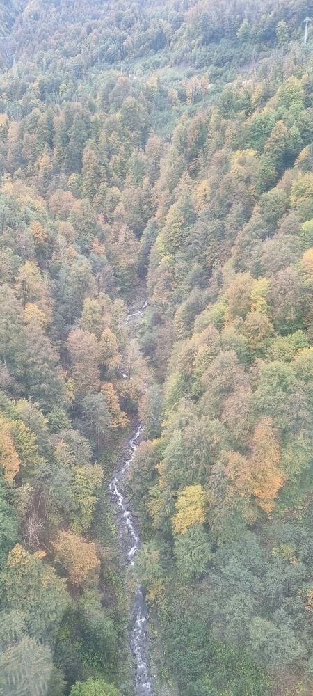 Photograph by Elena Ovsannikova