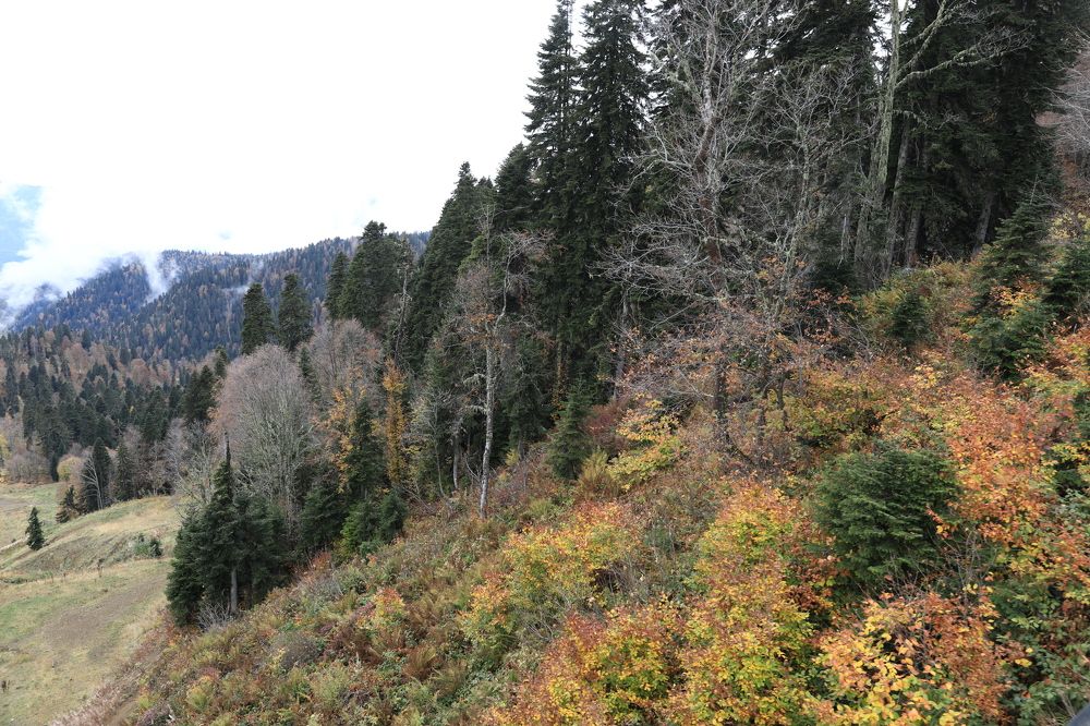 Photograph by Elena Ovsannikova