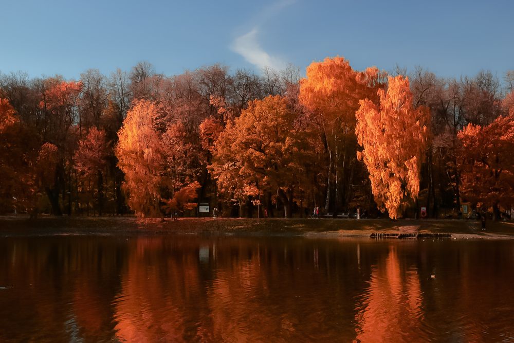 Photograph by Екатерина