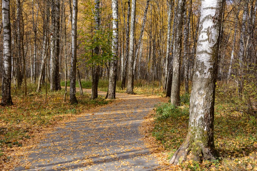 Photograph by Александр Поцелуев