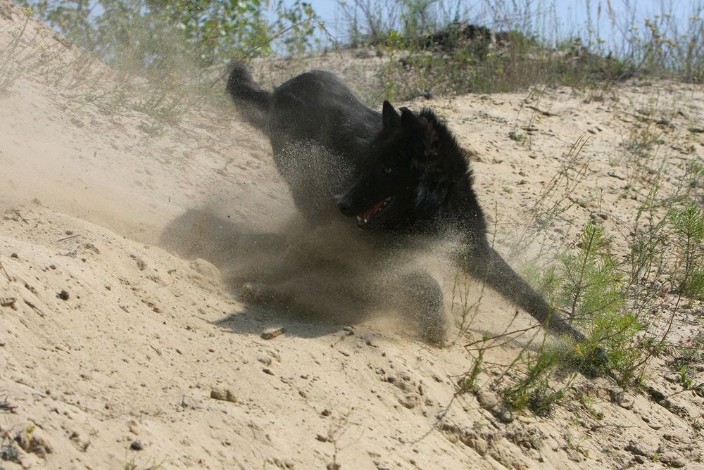 Фотография автора Надежда Лисицына