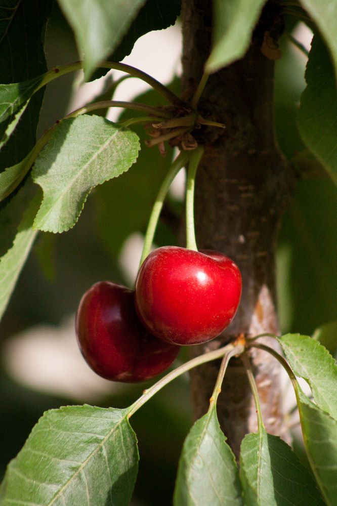 Фотография автора Omar Sanad