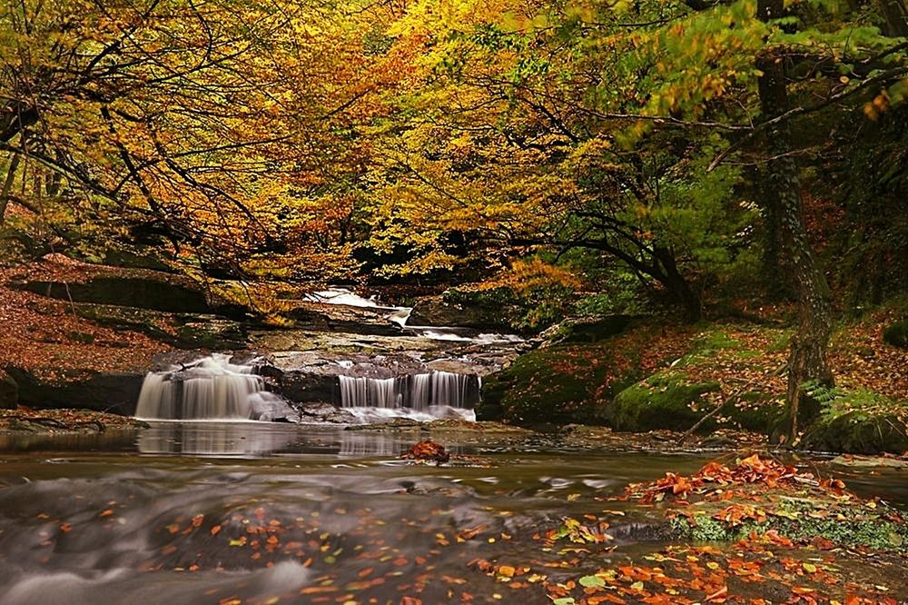Photograph by Süleyman Ülker