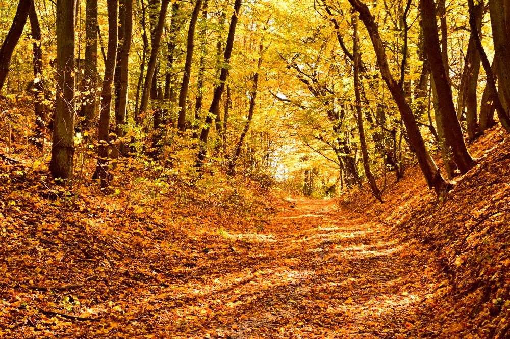 Photograph by Ирина Алексеева