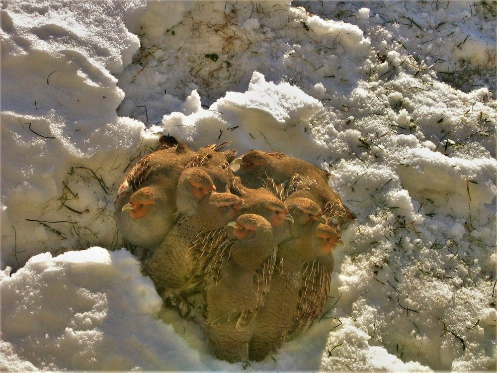 Фотография автора Linards Onzuls