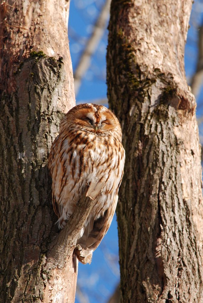 Фотография автора Linards Onzuls