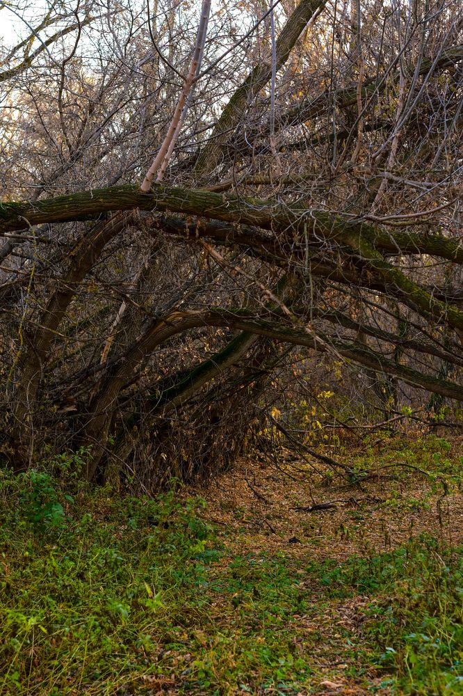 Photograph by Александра Шимбаева