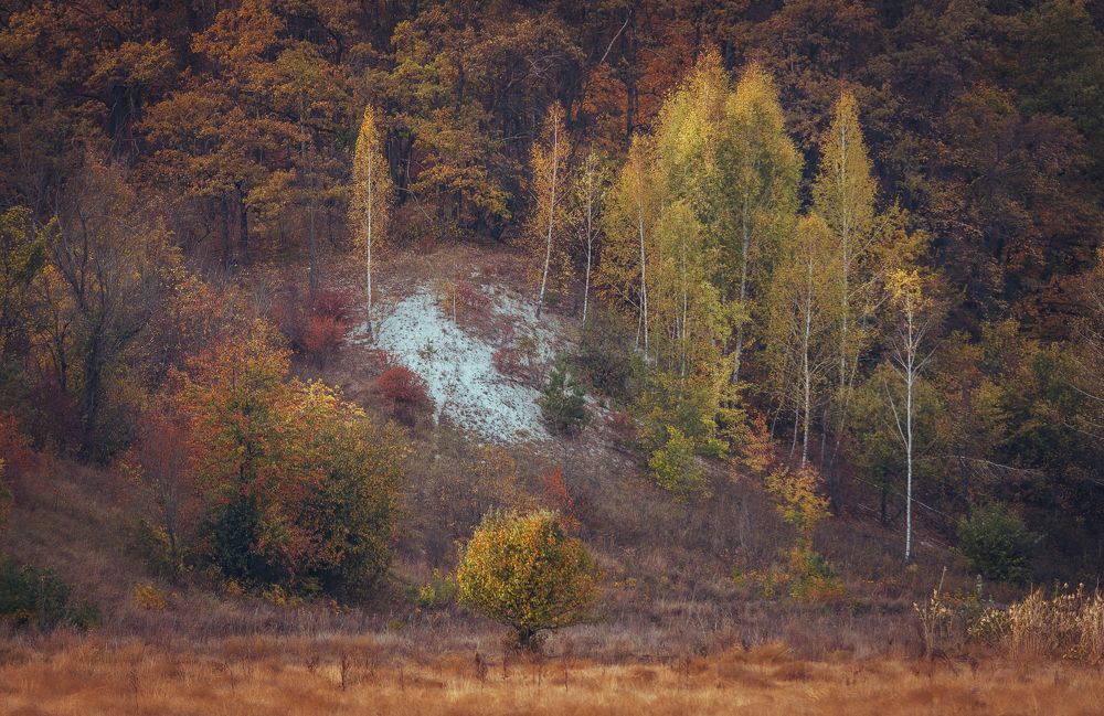 Photograph by Ольга Глущенко