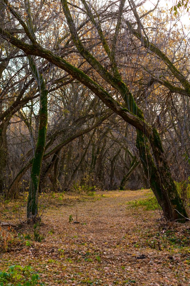 Photograph by Александра Шимбаева
