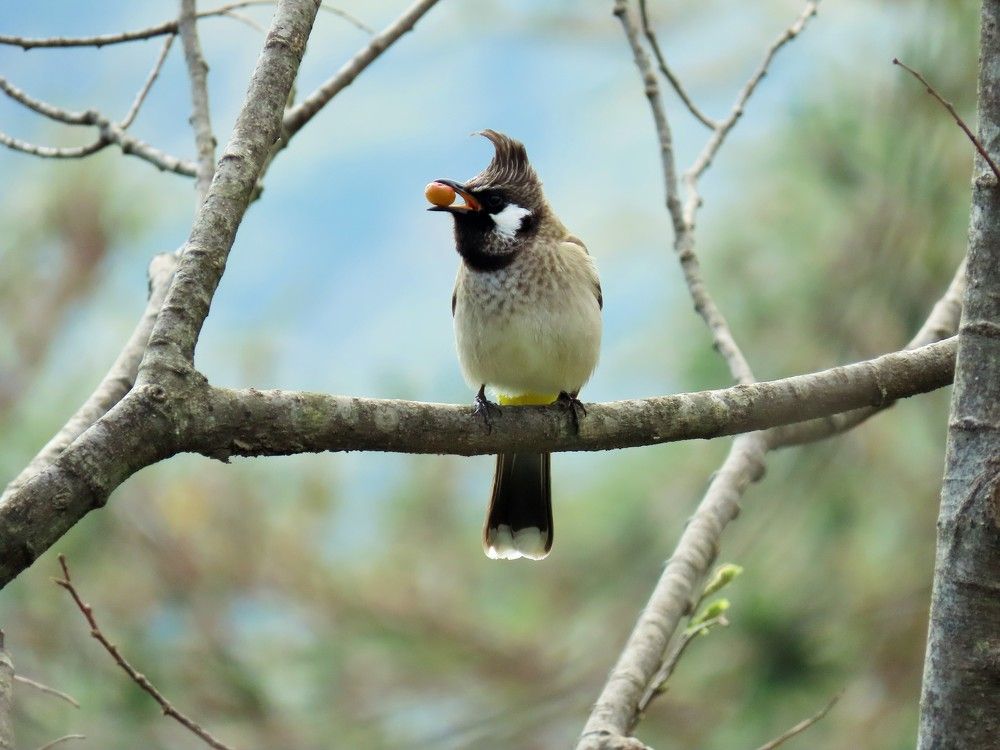 Photograph by Светлана Башаева