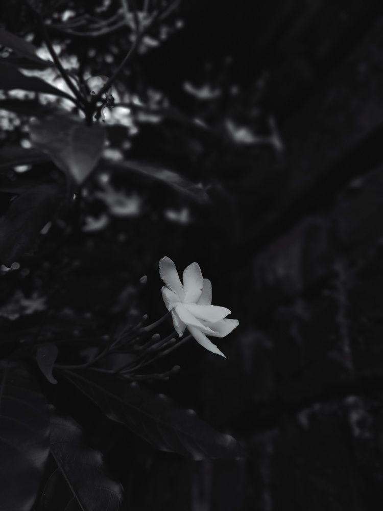 Photo #11212643