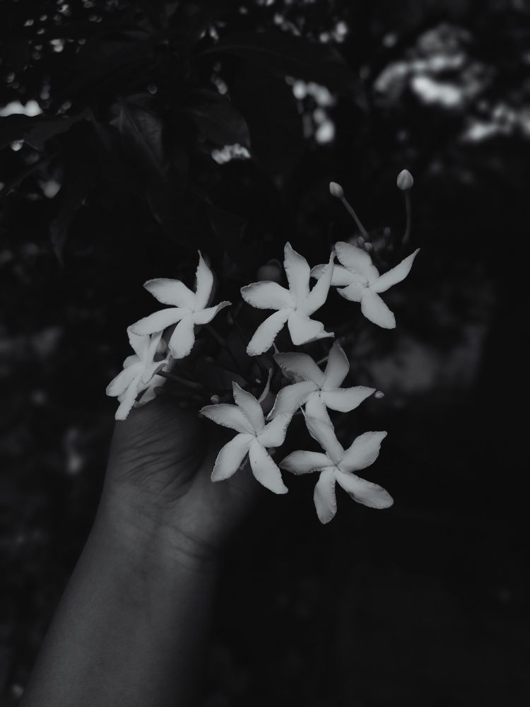 Photo #11212644