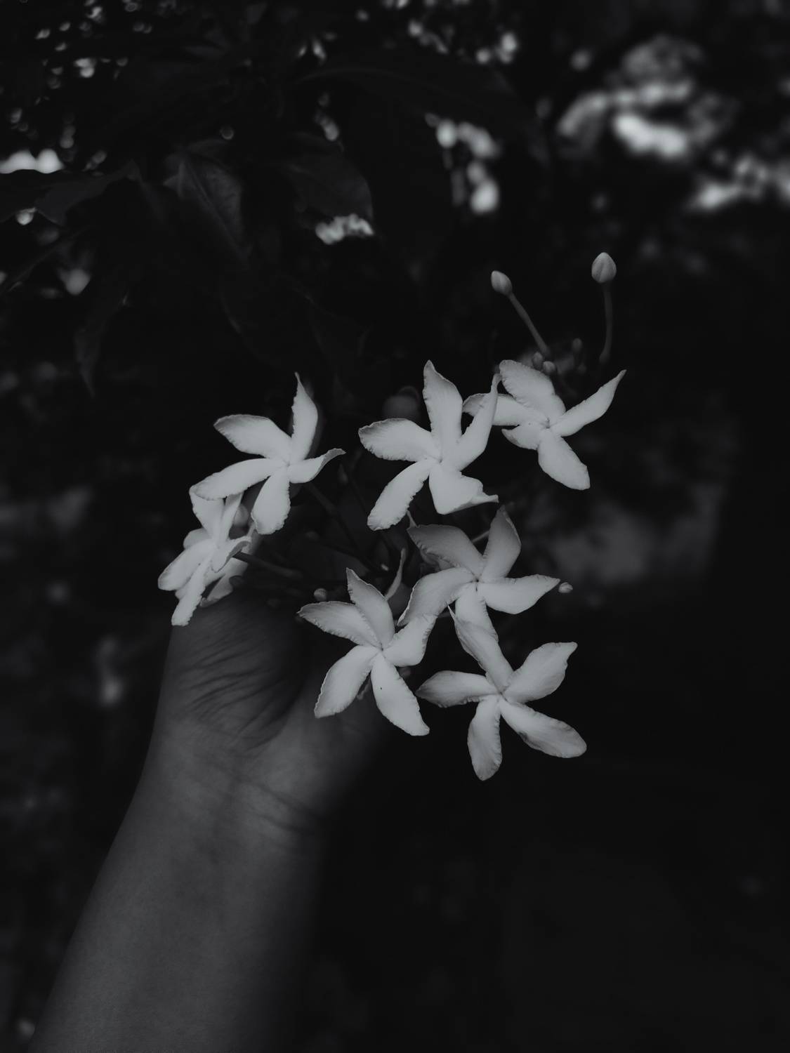 Photo #11212644