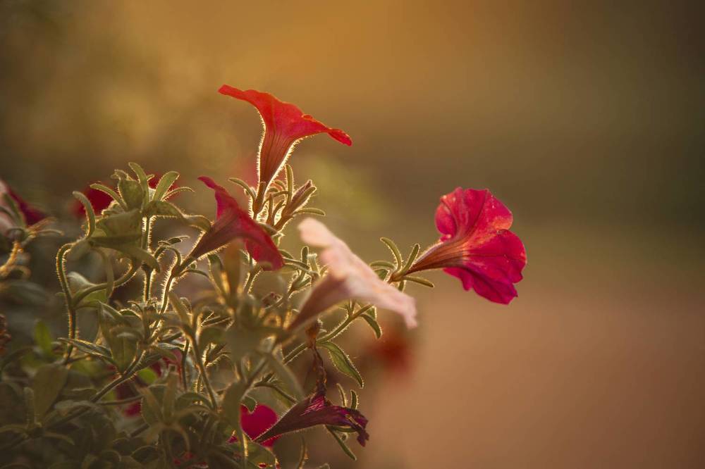 Фотография автора Наталия Одинцова