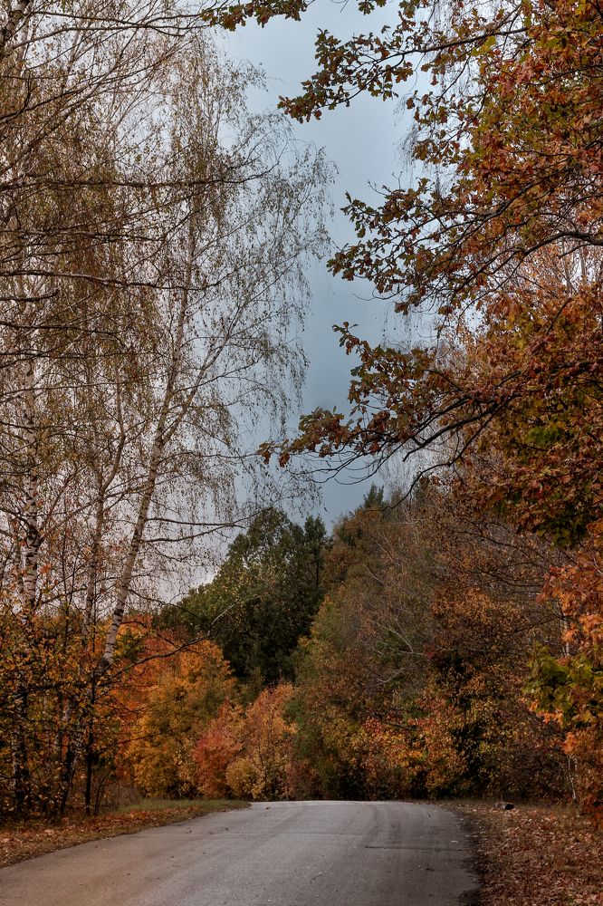 Photograph by Smirnova Olga