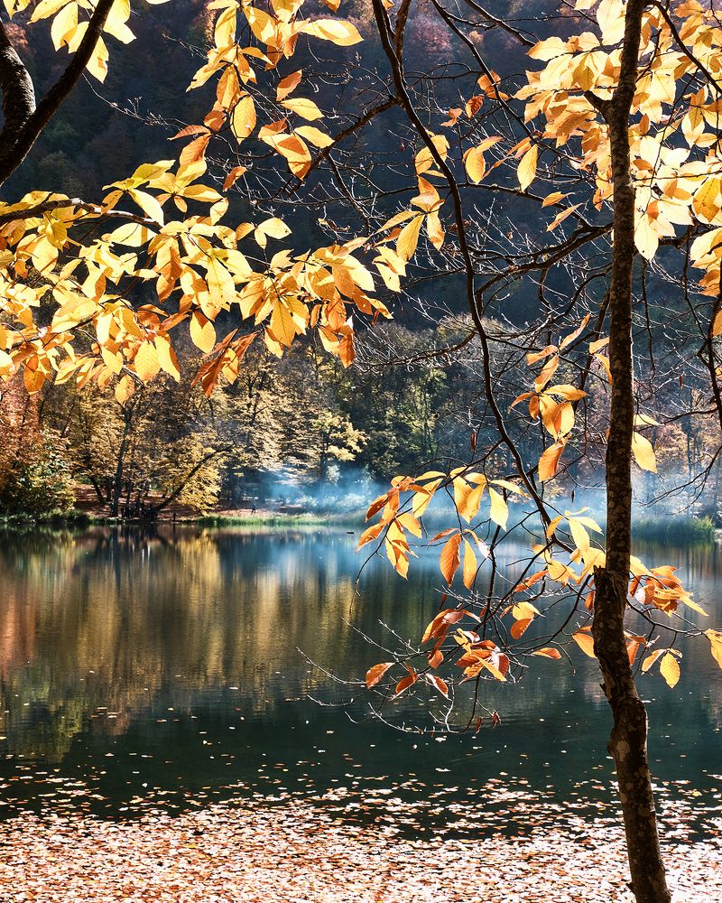 Фотография автора Владимир Эделев