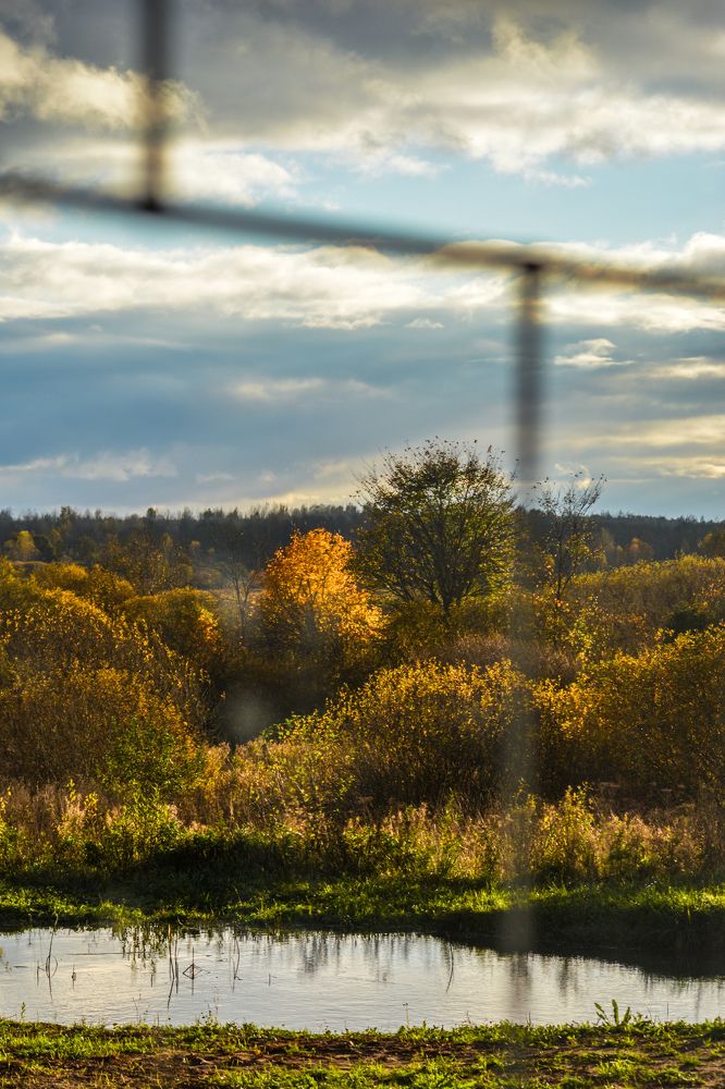 Photograph by Анастасия Гурова