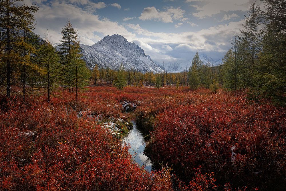 Photograph by Морозов Сергей