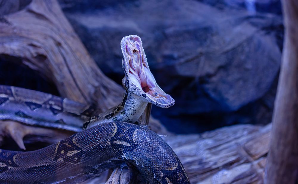 Photograph by yuri kutukov