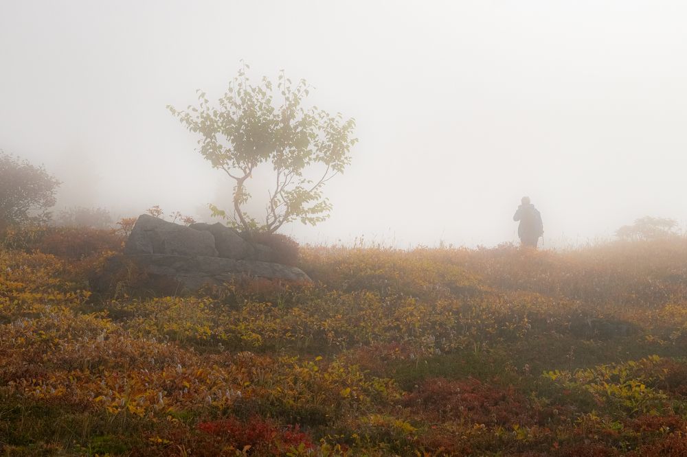 Photograph by Юлия Хобта