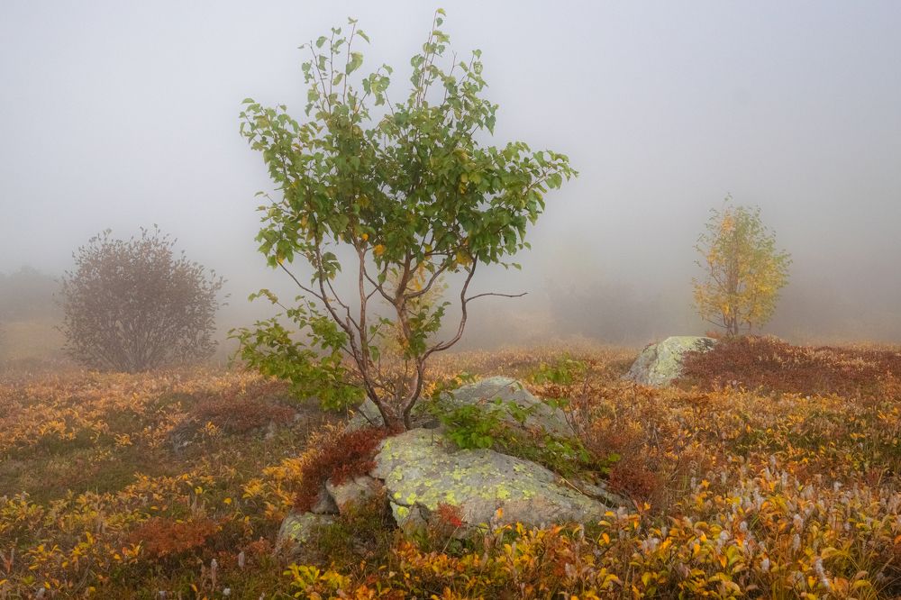 Photograph by Юлия Хобта