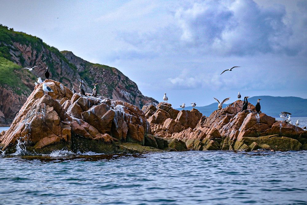 Photograph by Наталья Струц