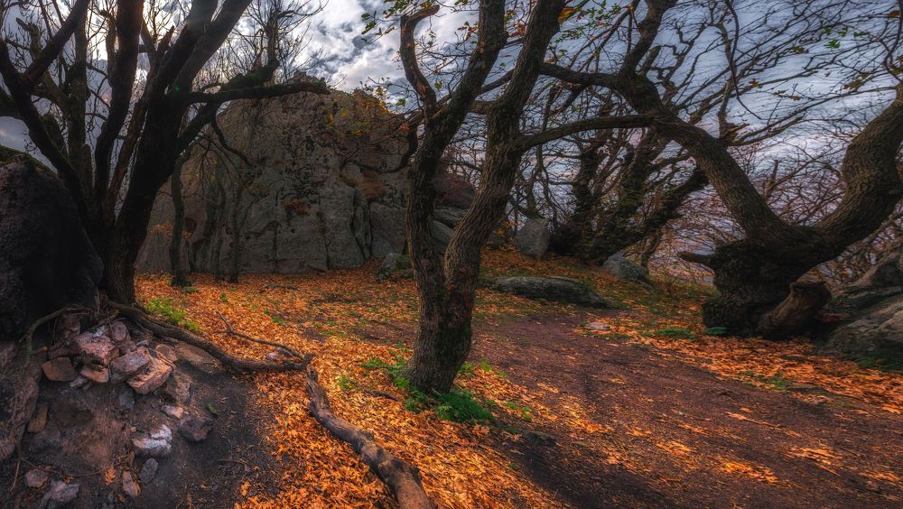 Photograph by Дмитрий Шавловский