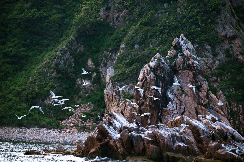 Photograph by Наталья Струц