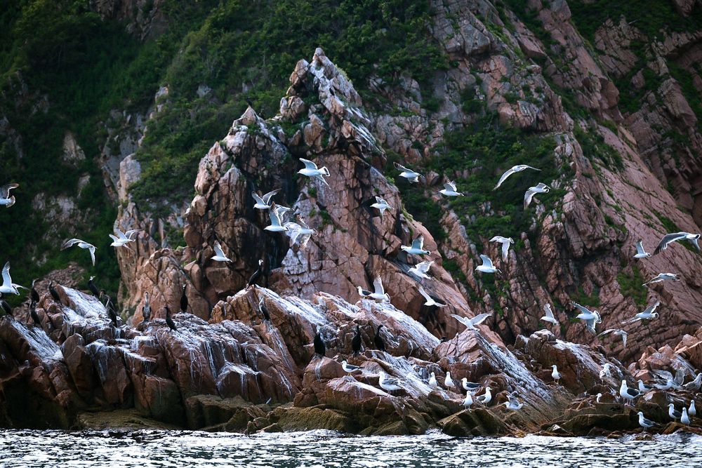 Photograph by Наталья Струц