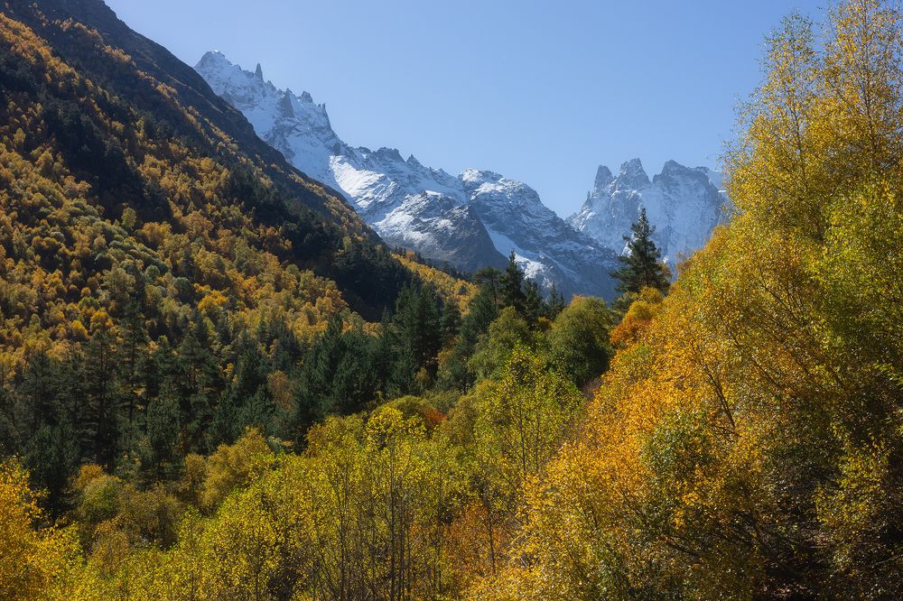 Photograph by Ekaterina Romanova