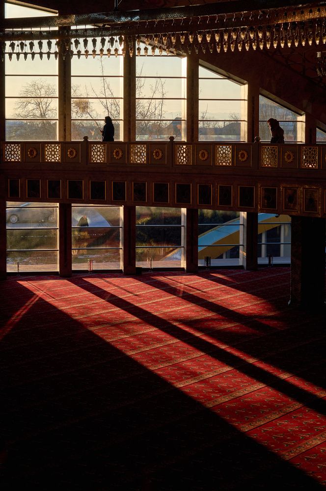 Photograph by Маргарита Гасец