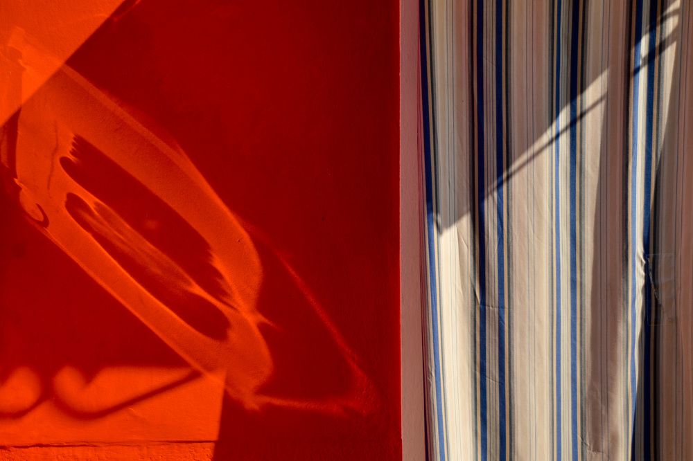 Photograph by Михаил Богачев