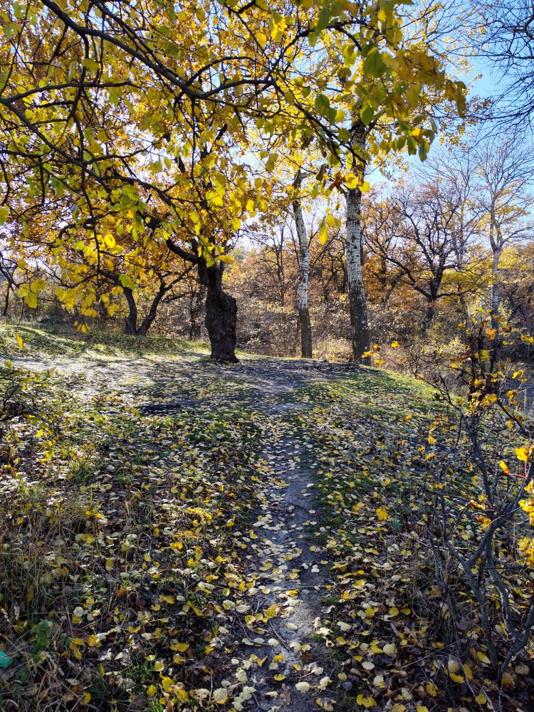 Photograph by Ирина Шибитова