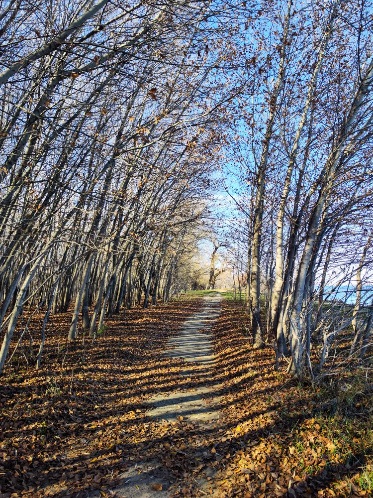 Photograph by Ирина Шибитова