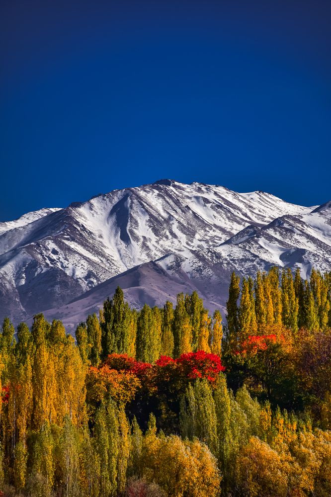 Осень в горах Тянь-Шаня