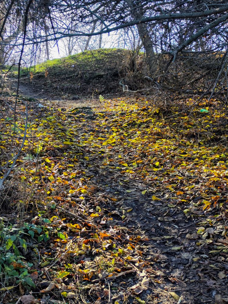 Photograph by Ирина Шибитова