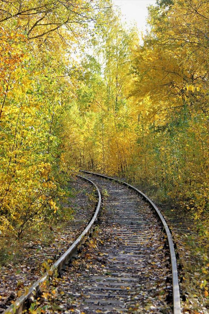 Photograph by Nikita Zorin