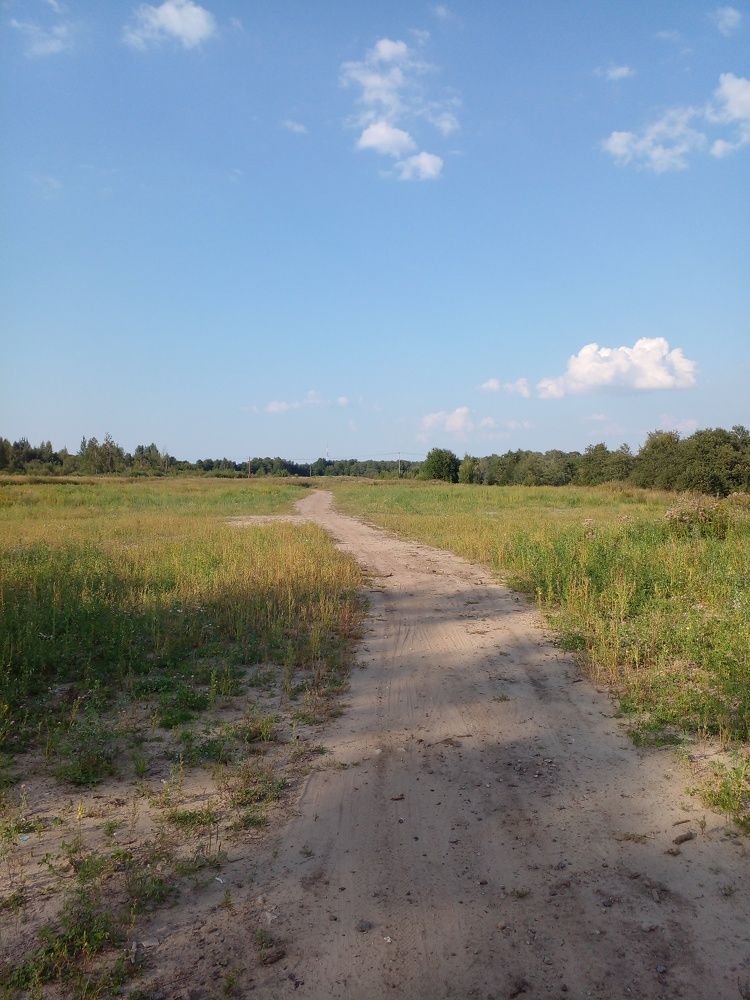 Photograph by Nikita Zorin