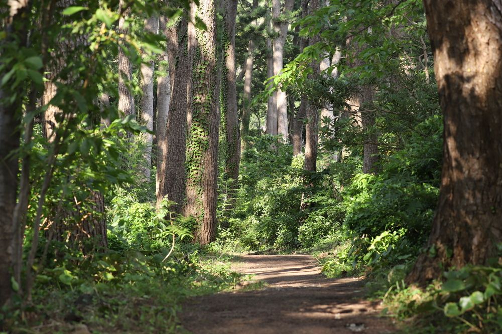 Photograph by Se Lena