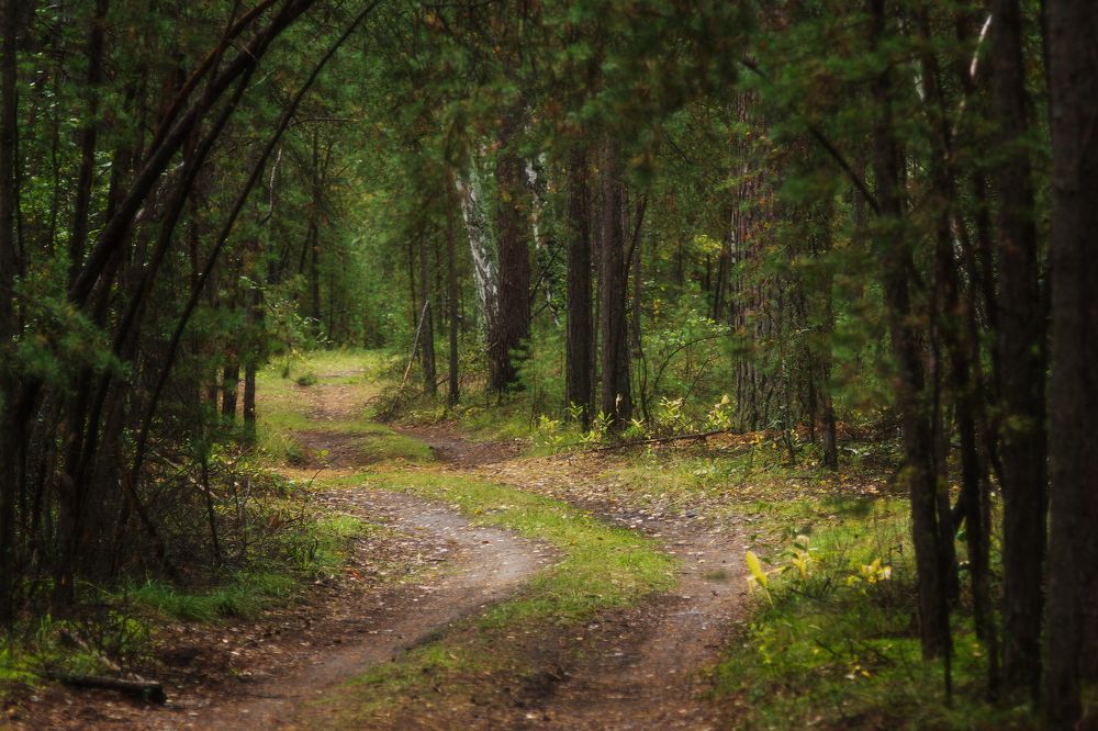 Photograph by Илья Толстоноженко