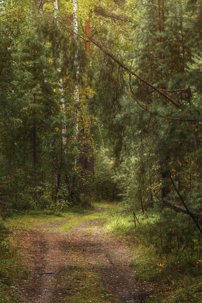 Photograph by Илья Толстоноженко